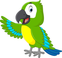 illustration of cute macaw cartoon