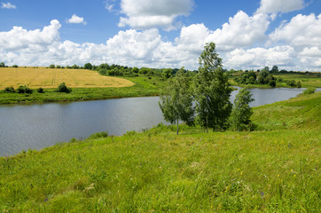 Sunny summer landscape