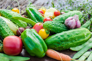 fresh vegetables
