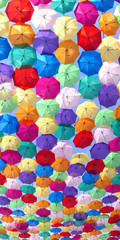 Festival de cores