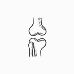 Knee joint sketch icon.