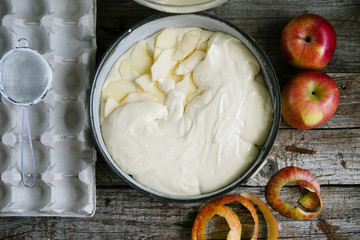 Dough for apple pie with ingredients