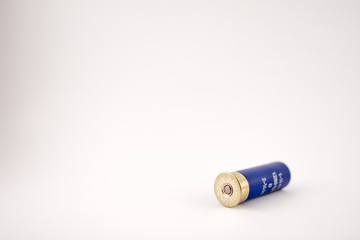Shotgun Shell 7