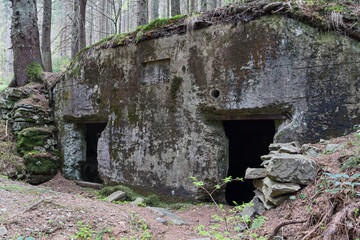 Abandoned fortification line Arpad since World War II. Ukraine