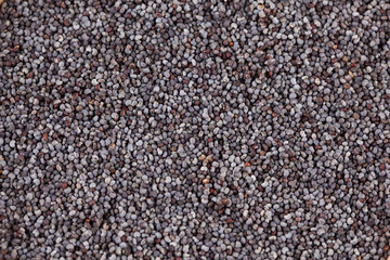 chia seeds isolated on white background