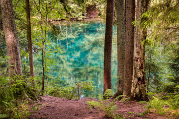HDR photo of an ultra clear spring lake in a Nordic forest