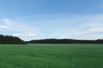 field