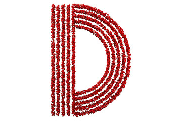 The letter D