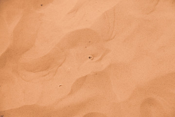 Sand texture background and wallpaper