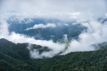 Beautiful top view of mountain forest landscape with misty morni