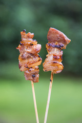 Pig roasting on skewers