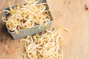 bean sprouts