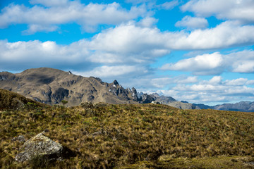 Cajas National Park, Andean Highlands, Ecuador
