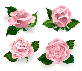 Fotobehang Rozen Set roze rozen