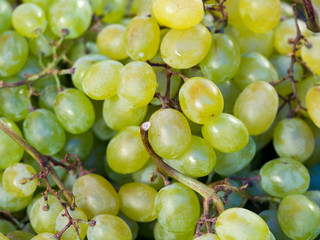 Fresh green wine grapes or white  wine grapes at market for background (selective focus)