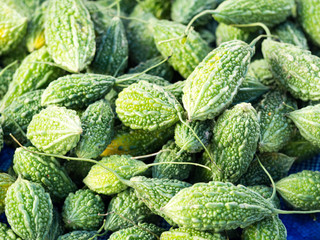 Traditional fresh green bitter gourd or bitter melon herb in market. Healthy vegetable food (selective focus)