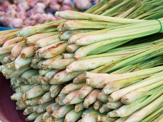 Closeup bundle of fresh organic lemon grass for retail sale in local market, Thailand (selective focus)