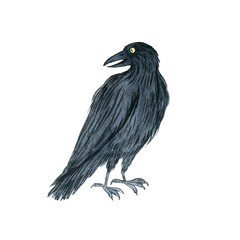 watercolor black raven