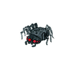 watercolor cartoon spider