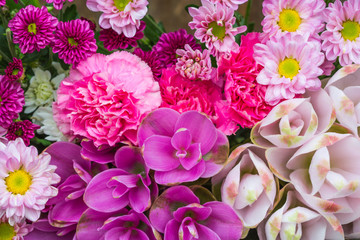 all color flowers close up