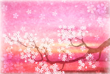 桜　春　和紙　背景