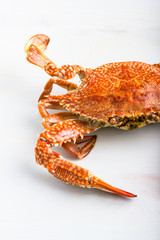 Steamed blue crab.