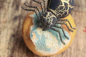 lemons rot halloween day