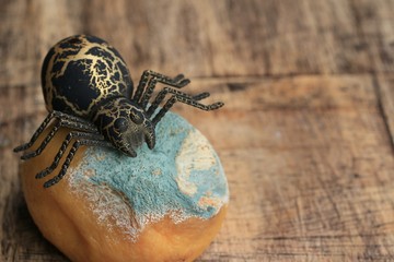 lemons rot halloween day