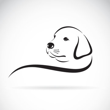 Vector of a dog labrador head on a white background.