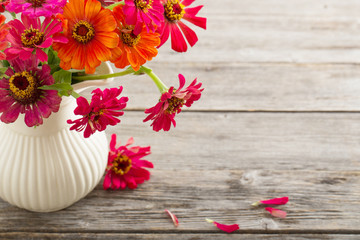 Obraz na płótnie Canvas zinnia flower in a vase