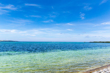 The beach where tropical fish are collected