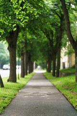 Fototapeta na wymiar town alley with green trees background