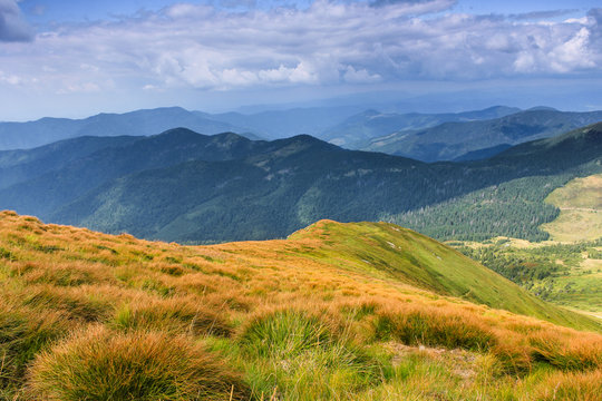 Landscape of mountain hills covered with yellow grass in summer time.