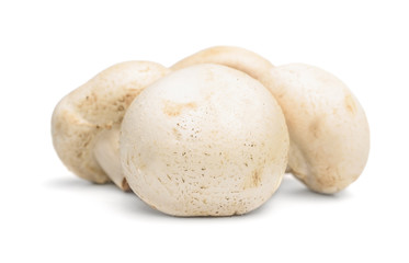 Fototapeta na wymiar fresh mushroom champignon 