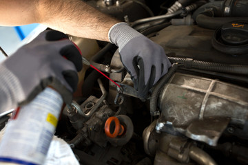 Mechanic lubricates the screws
