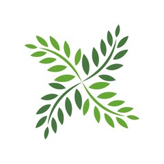 Nature&ecology logo vector