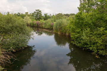 Fototapeta na wymiar Canal et marais