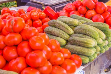Countertop with vegetables tomatoes and cucumbers