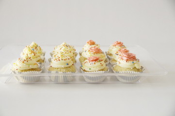 cupcakes with butter cream and multi-colored candy sprinkles in cups on a transparent tray on a white background