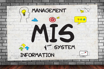MIS  Management Information System  Data Development Information © onephoto