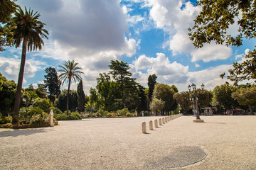 palms in the Pincio Garden in Rome