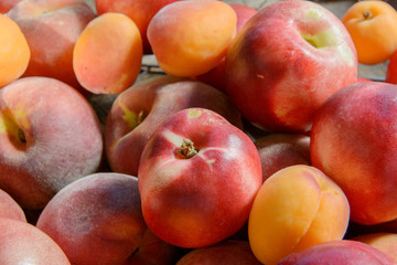 peaches and apricots