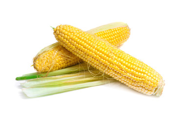 Fresh corn isolated on a white background