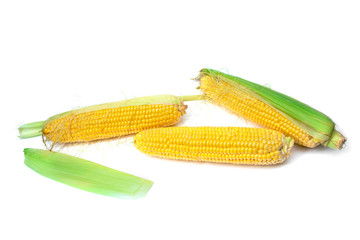 Fresh corn isolated on a white background