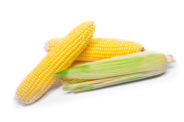 Fresh corn isolated on a white background
