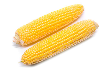 Fresh corn isolated on a white background