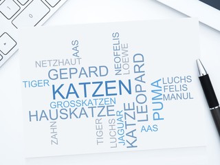 Katzen © CrazyCloud
