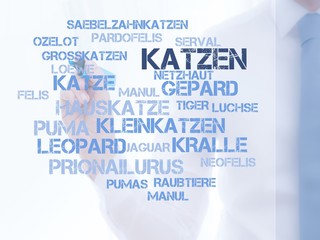 Katzen © CrazyCloud