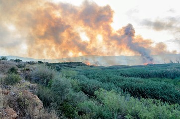 Fire caused by the destruction  humans.