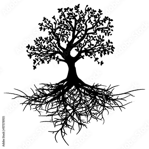 Древо Жизни Картинка - allegemobility